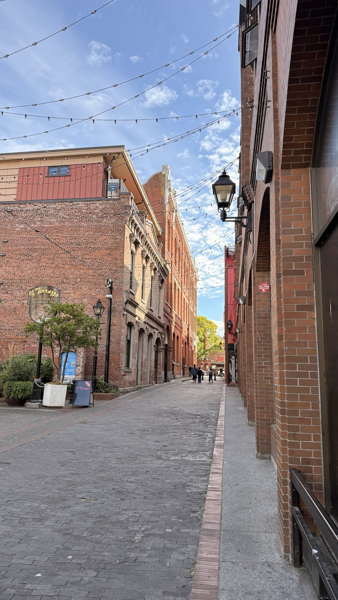 String lights over Waddington Alley in Victoria's Old Town